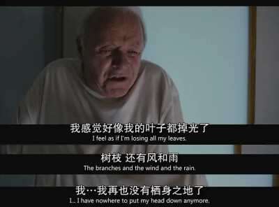 ——《The father2020》
#Anthony Hopkins#
-困在时间里的父亲
-The 93rd OSCARS