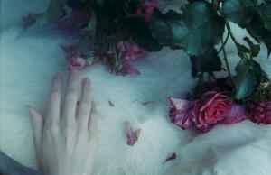 Laura Makabresku