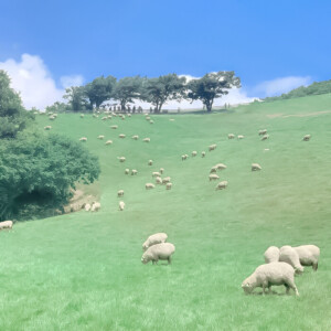 
 甜甜的笑容你也要天天开心诶*章若楠