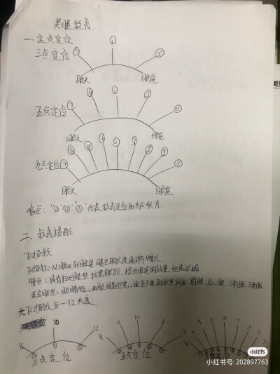 睫毛款式