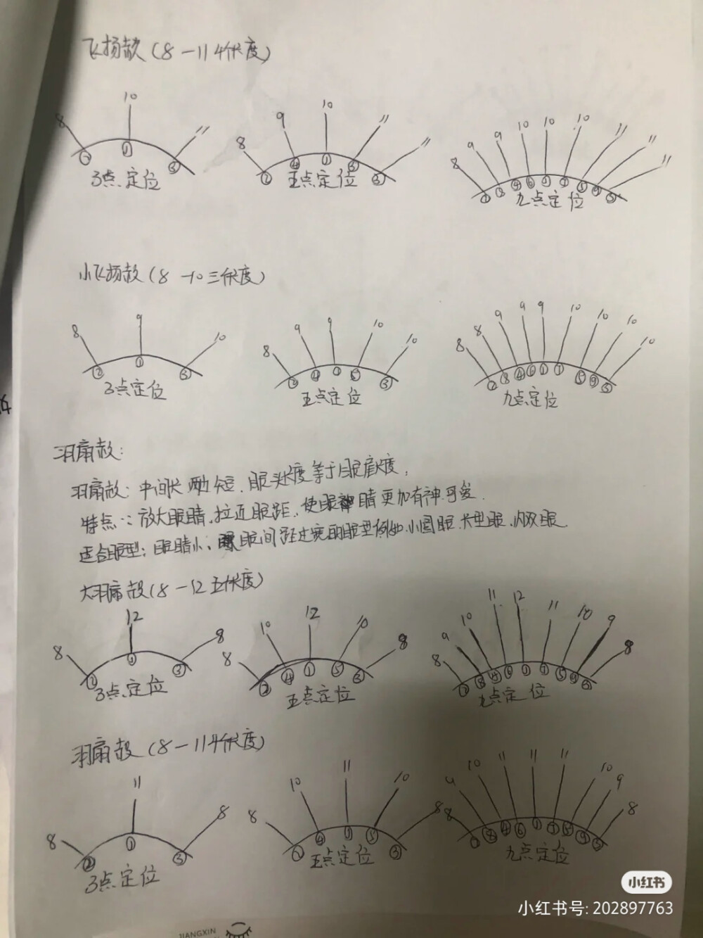 睫毛款式