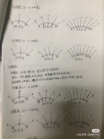 睫毛款式