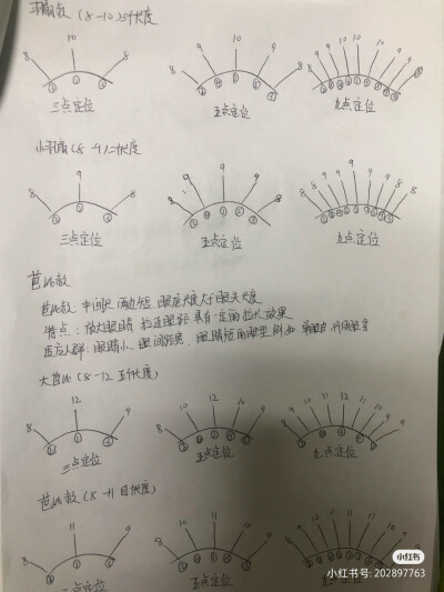 睫毛款式