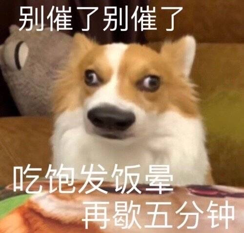 表情包