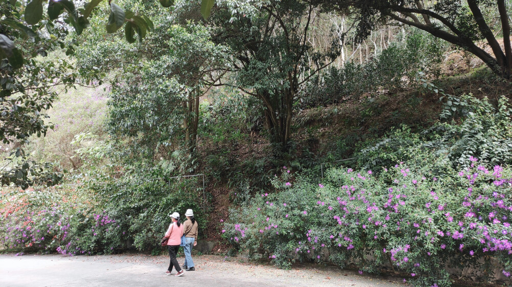 生活小场景