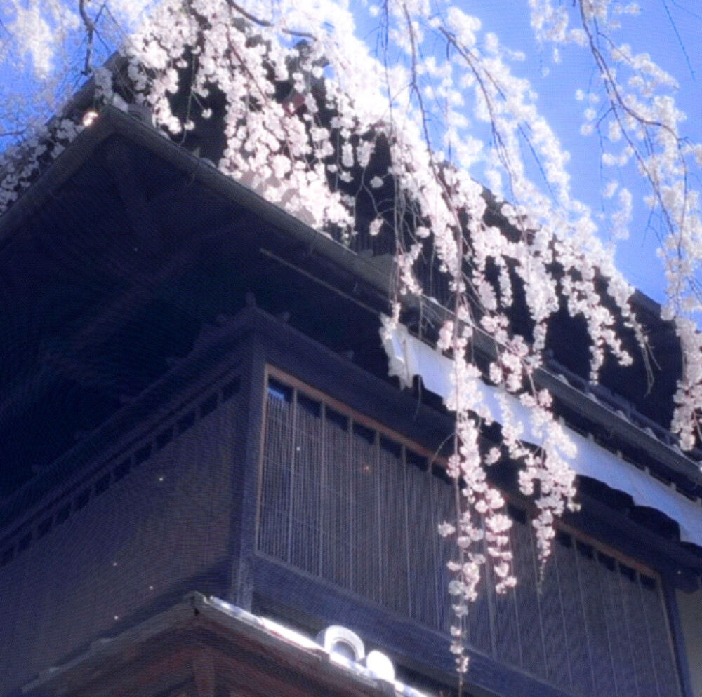 草莓味冰淇淋（Ice cream）
金泰亨
@蔻慝