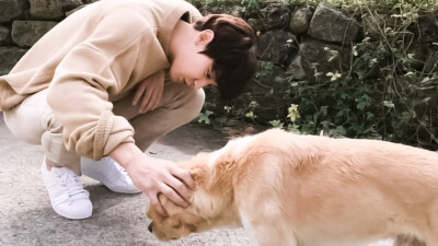 「橙光」朴灿烈
侵删｜素质拿图