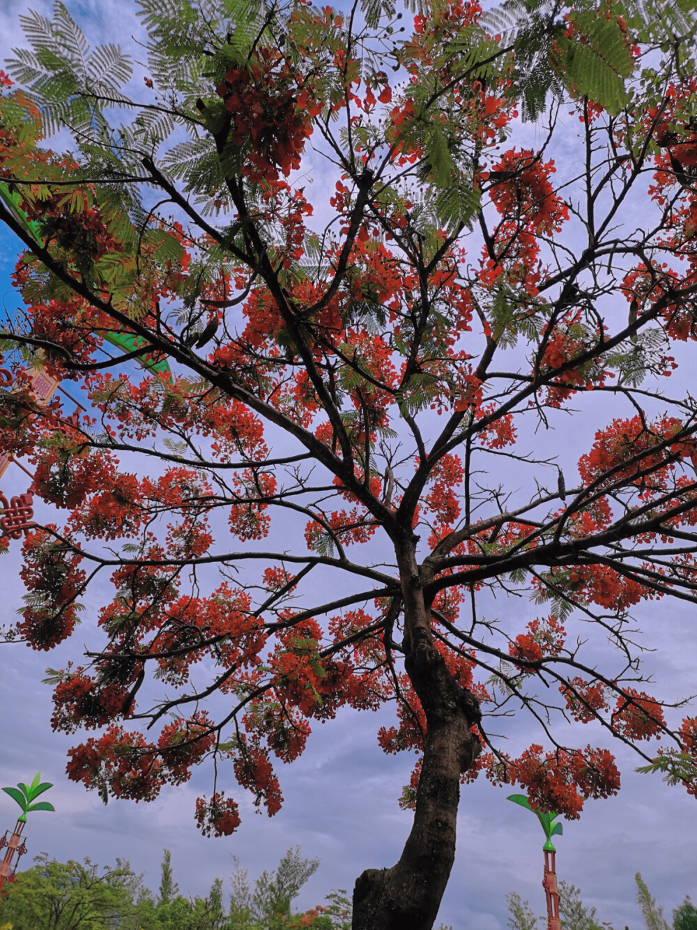 别忘了那些不常联系的朋友啊