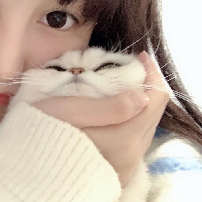 女生头像 抱猫