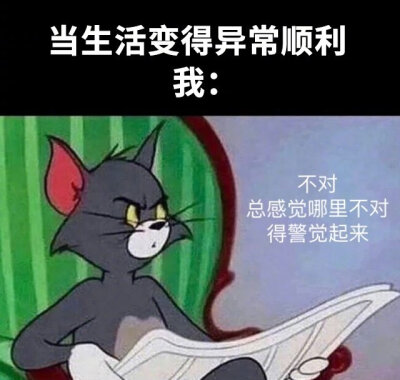 准备暗鲨