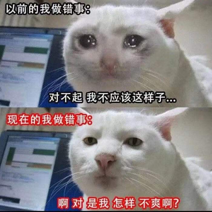 准备暗鲨