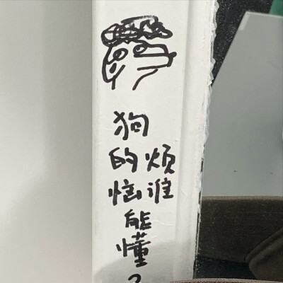 狗的烦恼