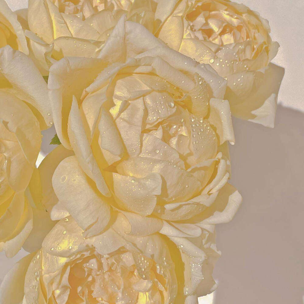 ᴮᵘʸ ʸᵒᵘʳˢᵉˡᶠ ᵃ ᵍⁱᶠᵗ ᵃⁿᵈ ᵍʳᵒʷ ᵘᵖ ʷⁱᵗʰ ʸᵒᵘʳˢᵉˡᶠ.
给自己买礼物，陪自己长大。 ​​​