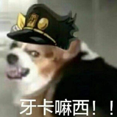 JOJO表情包