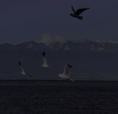 “人生海海，山山而川”