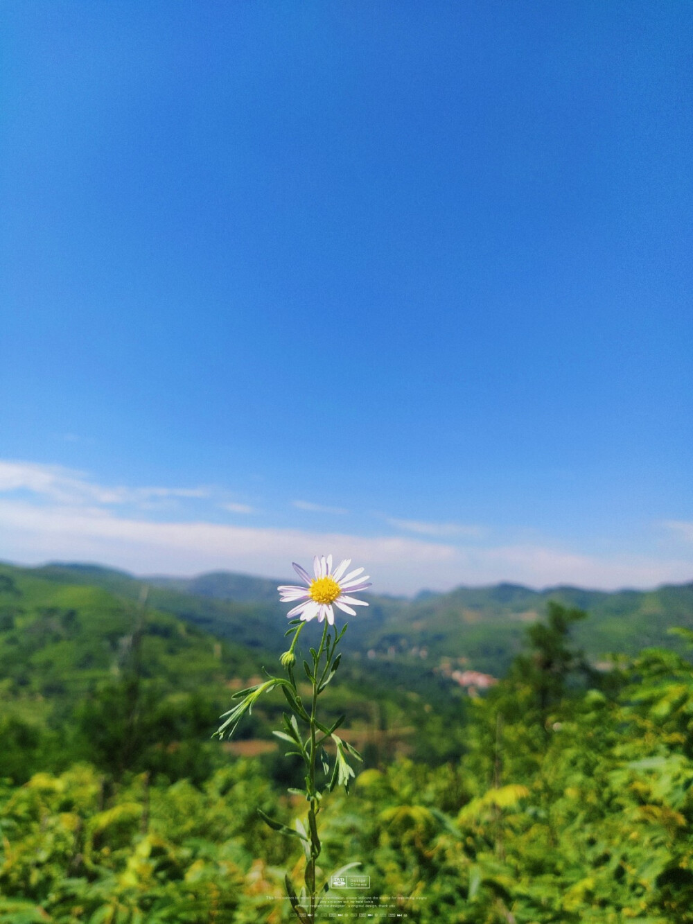 夏天总与少年有关，夏至已至，Mayday常在。