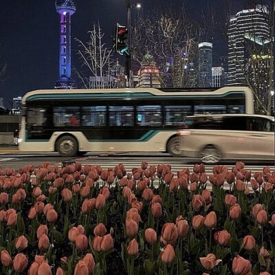 朋友圈背景图鲜花