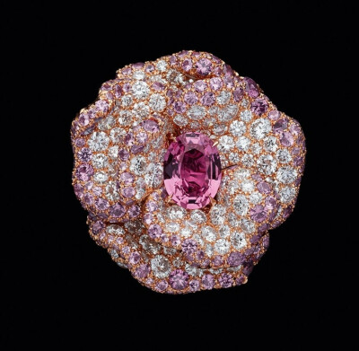 Dior 推出 Dior Rose 高级珠宝系列新作：自然、建筑、未来与抽象