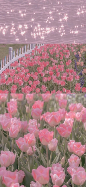 壁纸♪头像☆表情包°