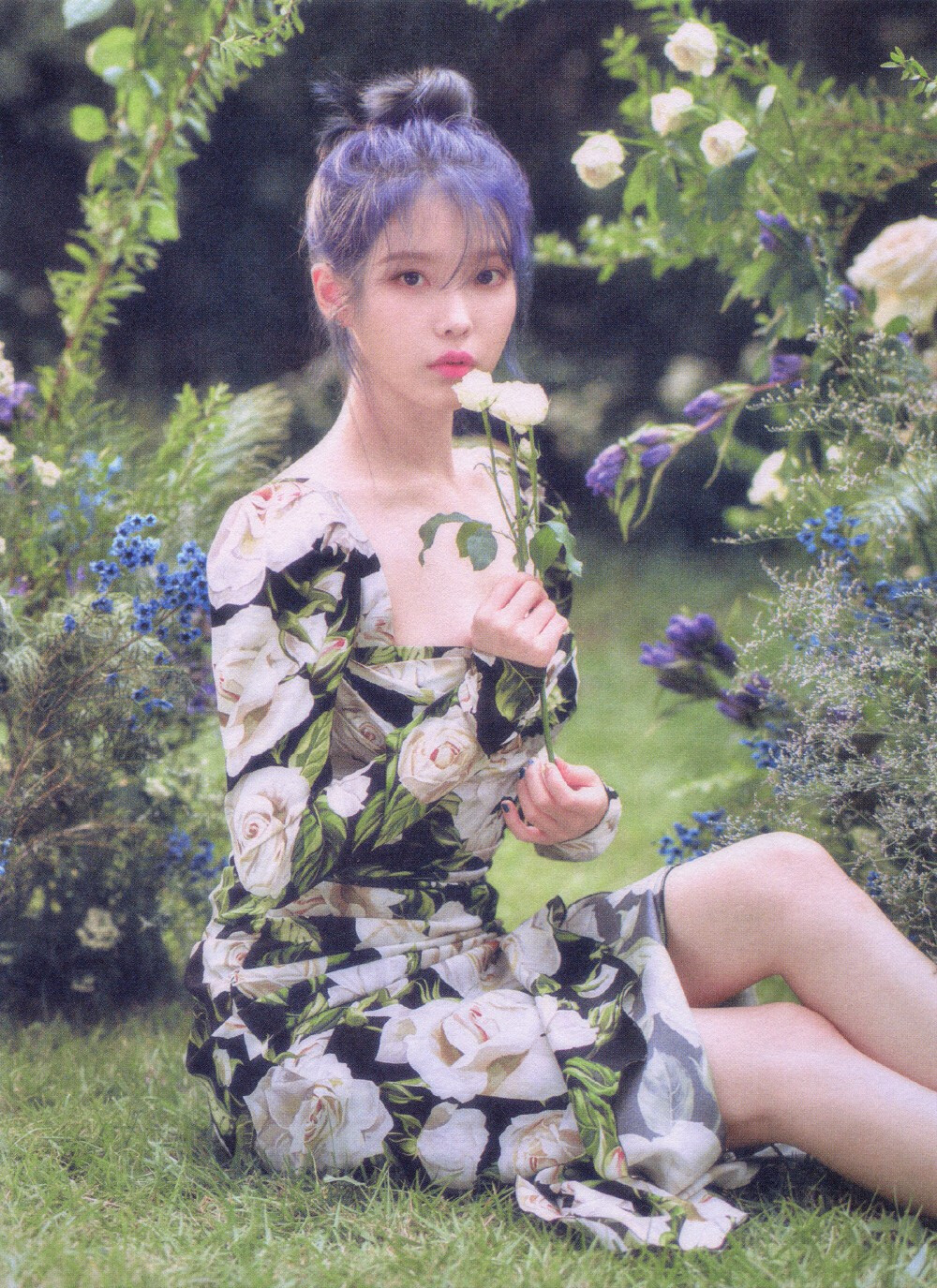 IU