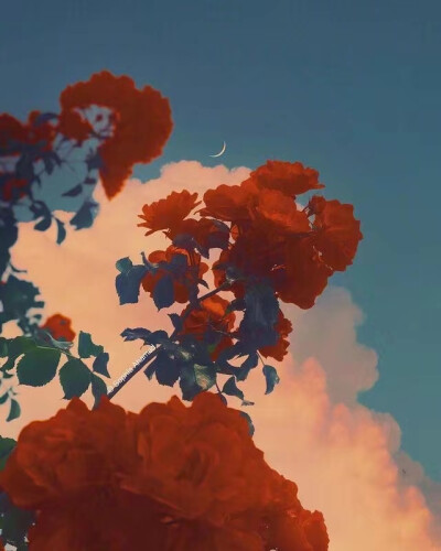 ——
『月明花满枝』
ins：sophiaahamed ​​​