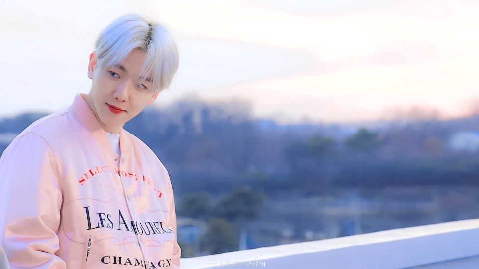 边伯贤｜原截小贤礼丝