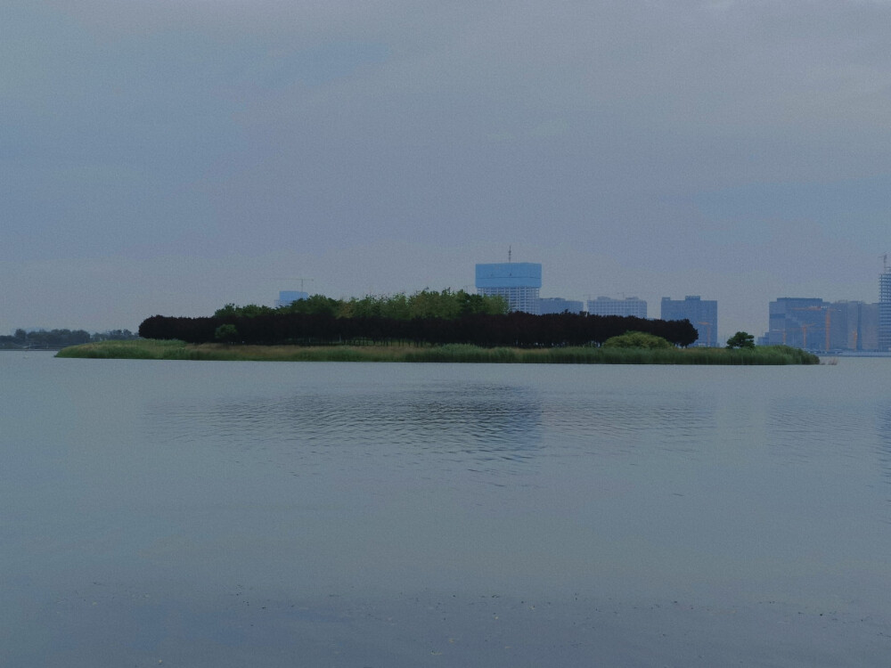 逛公园 拍一拍！