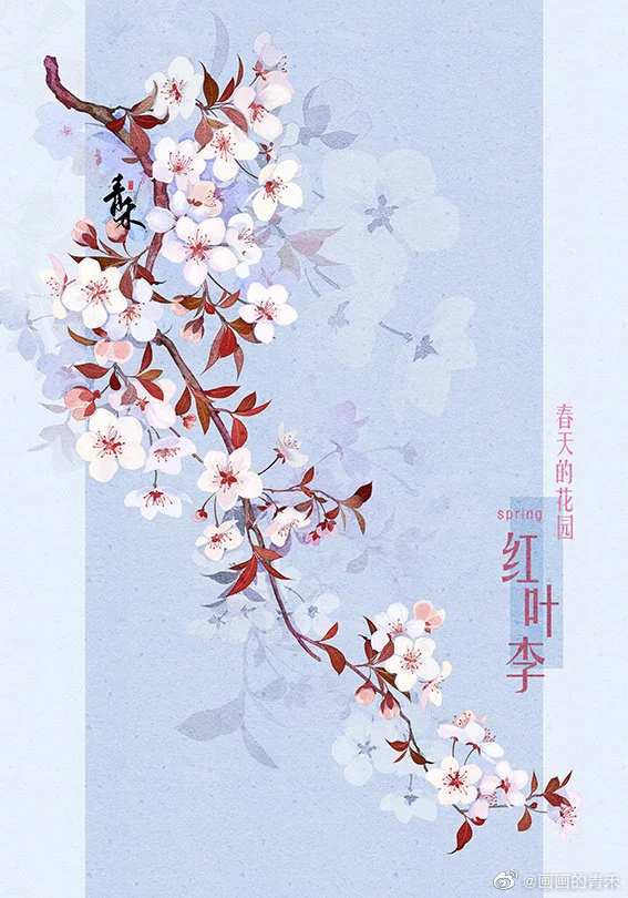 春天的花园-古风手绘
by微博@画画的青禾