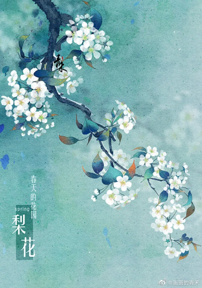 春天的花园-古风手绘
by微博@画画的青禾