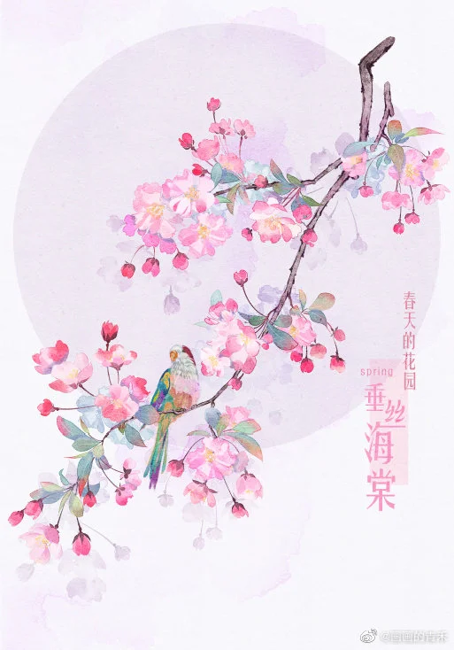 春天的花园-古风手绘
by微博@画画的青禾