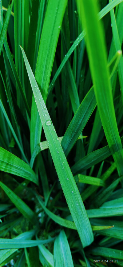 下雨天也可以拍好看的壁纸!