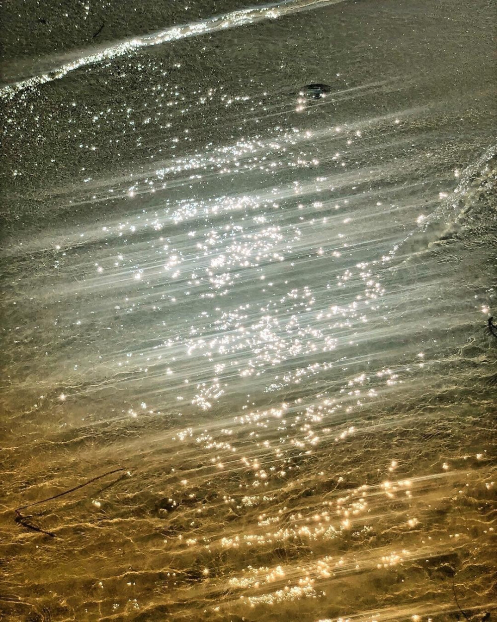 ᵀʰᵉ ᴸᵒˢᵗ ˢᵗᵃʳˢ ⁱⁿ ᵗʰᵉ ˢᵉᵃ
遗失海里的星星✨ ​​​