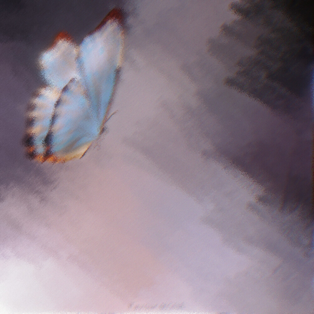 ◔金泰亨 二传注明花骑遗珠
cr.TAETAELAND