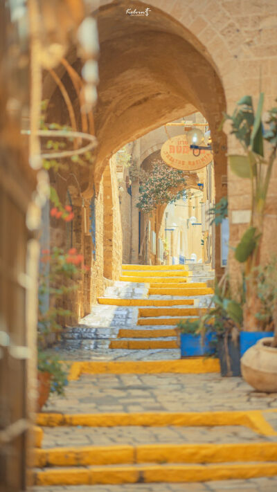 夏天是什么？是炎热、是酷暑、是冰激凌与雪糕的约会、是烧烤与啤酒的宴会、是蝉声和蛙鸣的交响乐……