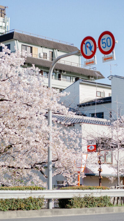 夏天是什么？是炎热、是酷暑、是冰激凌与雪糕的约会、是烧烤与啤酒的宴会、是蝉声和蛙鸣的交响乐……