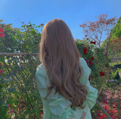 风说了许多，把夏天灌的盈满