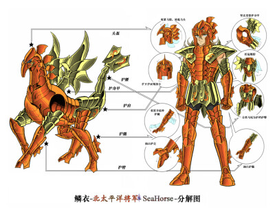 海斗士“巴尔安 ”七海将军之北太平洋支柱 海马鳞衣~高涨海浪2