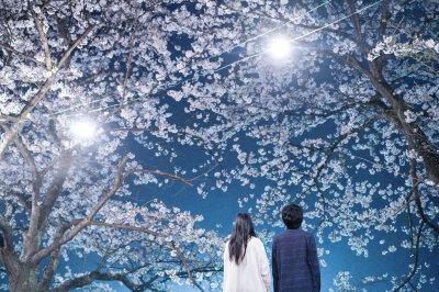 摄影师推特：@Shiori1012