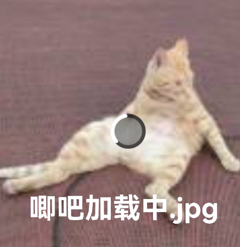 小猫猫