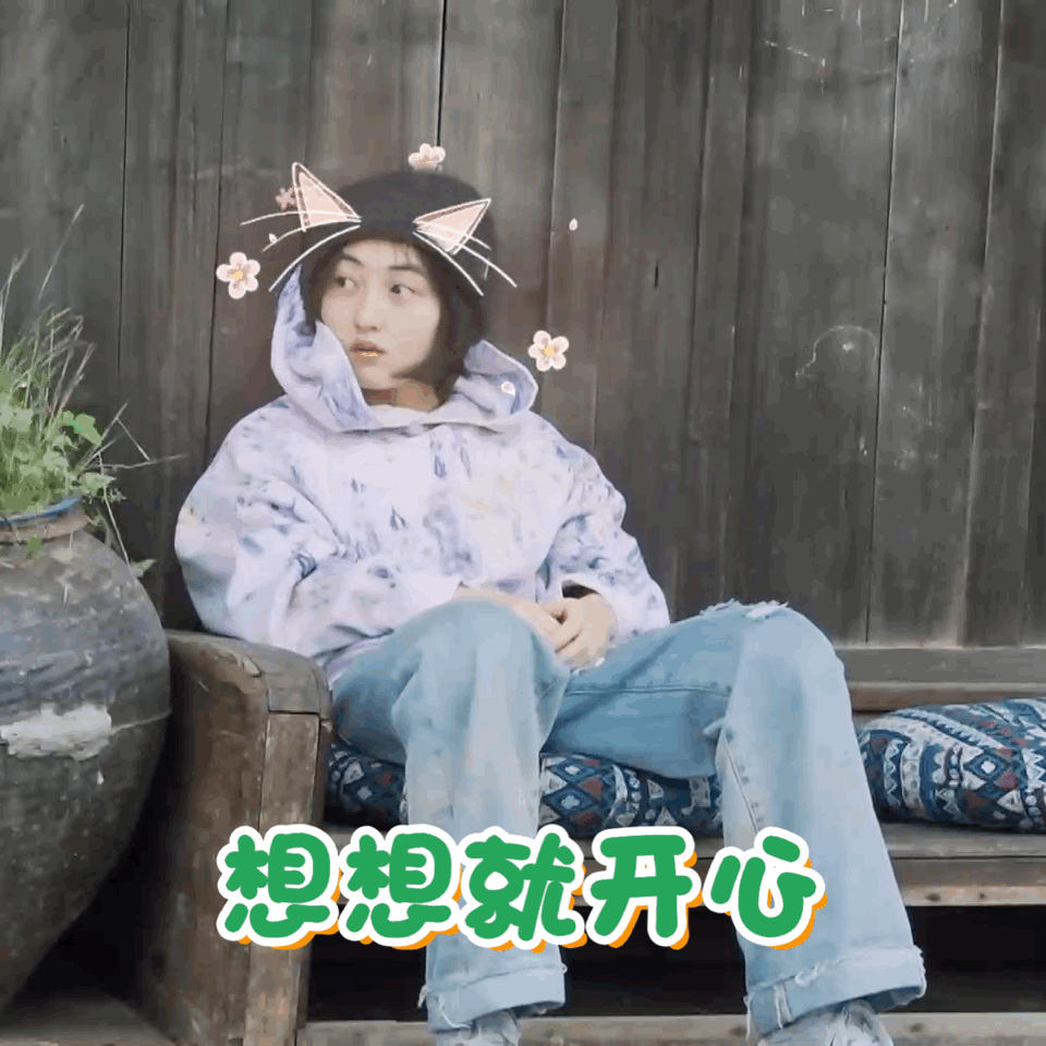 向往的生活第五季成员表情包