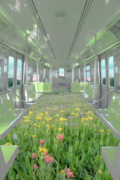 “梦境列车 浪漫之旅”