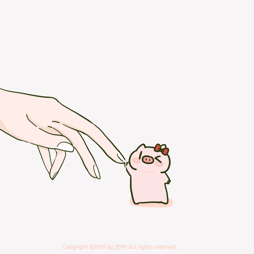 pp猪