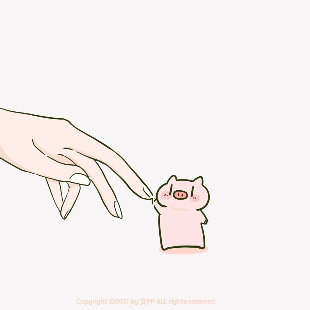 pp猪