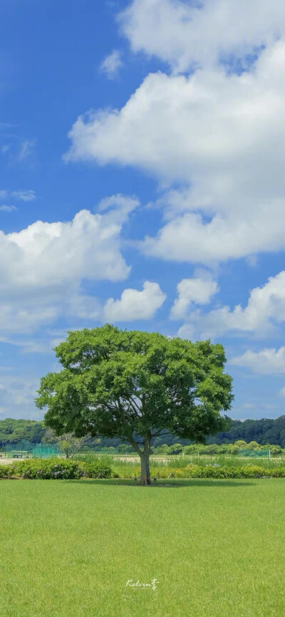 天空