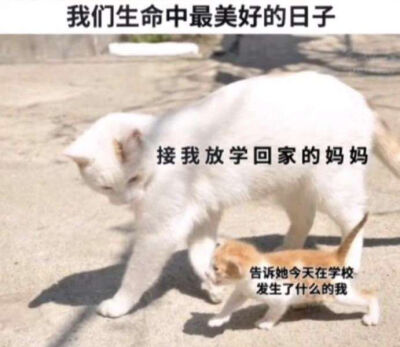 关于小时候母亲接我放学的日子