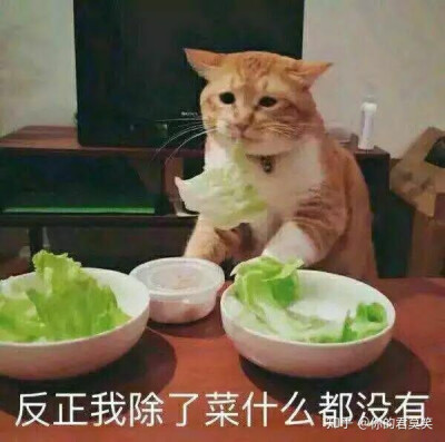 反正我除了菜什么都没有