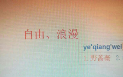 热 烈 火