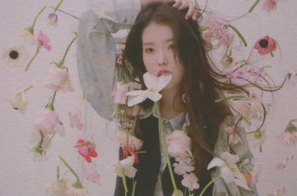 IU 李知恩 