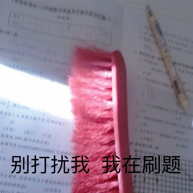 考试谢谢表情包