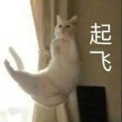  『可爱阿猫阿狗表情包』
图源网络 可补充至评论区
素质取图！！！